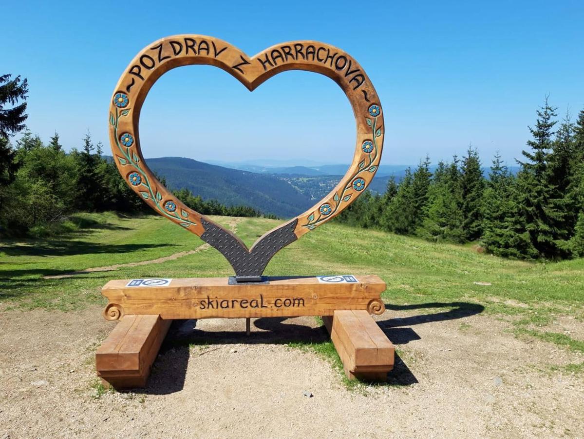 Enjoyharrachov - Atraktivni Klidny Klimatizovany Apartman 20 V Centru Harrachova S Parkovanim, Wifi-Wlan, Sat, Herni Konzoli, Ipad, Netflix Zdarma, Moznosti Dobijeni Auta, Vyhledem Do Zahrady A Na Romanticky Kostelik 外观 照片